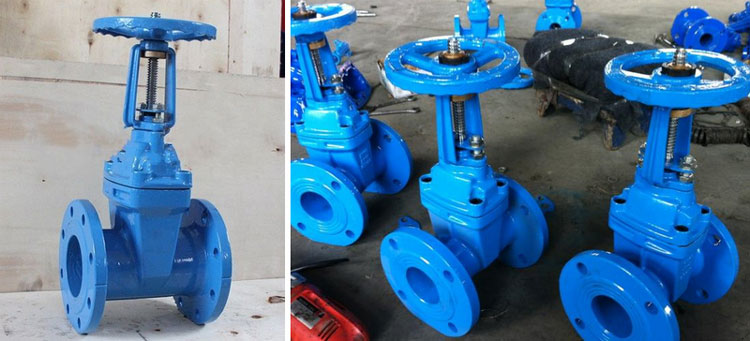 gate valve 6